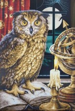 Bead Embroidery Kit Owl DIY Craft Kit Stamped Bead Needlepoint Beaded zpt-028