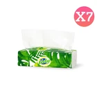 Tidy Kitchen Paper Towel 2 Ply 75 Sheets - Pack of 7 (525 Sheets)