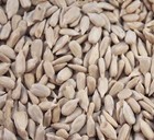 SUNFLOWER HEARTS Wild Bird Food Seed Mix Feed Feeder 5 Garden Sunflower 10g-2KG