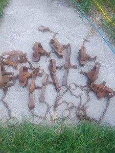 11 Vintage Victor Traps Different Sizes. 1 Other Trap Name? 12 All together 