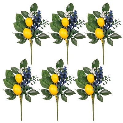 Valery Madelyn 6 Packs Spring Summer Picks with Lemons Blueberry Eucalyptus L...
