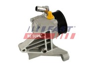 Fast Hydraulikpumpe Lenkung FüR Fiat Ducato Kasten 250 120 Multijet 2.3 D 110