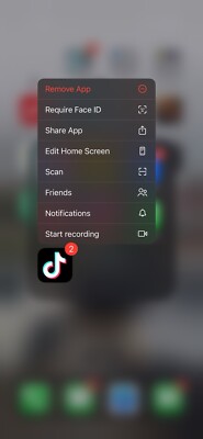 iPhone 14 Pro Max with TikTok