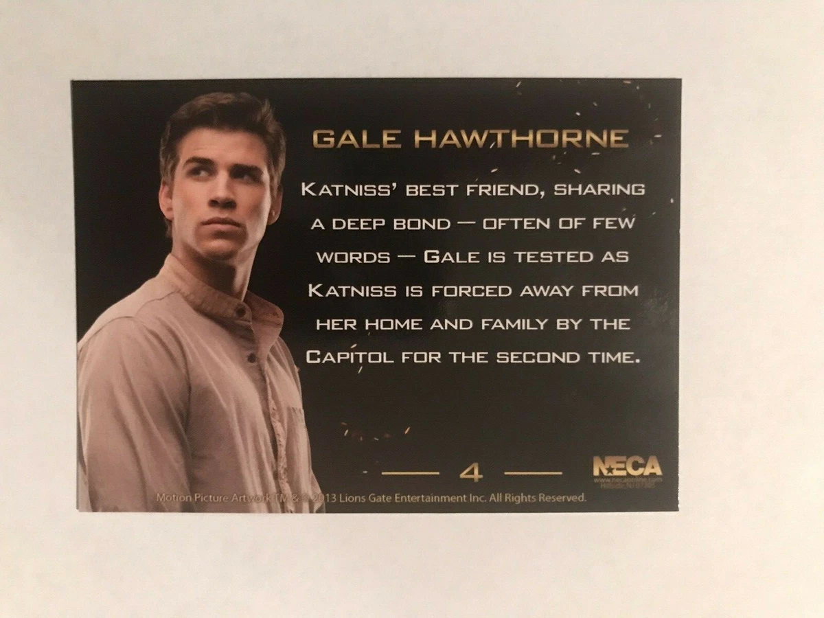 Gale Hunger Games Catching Fire