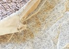 WWII Era Army Mosquito Net Pacific Theater Rare Original — photo 5