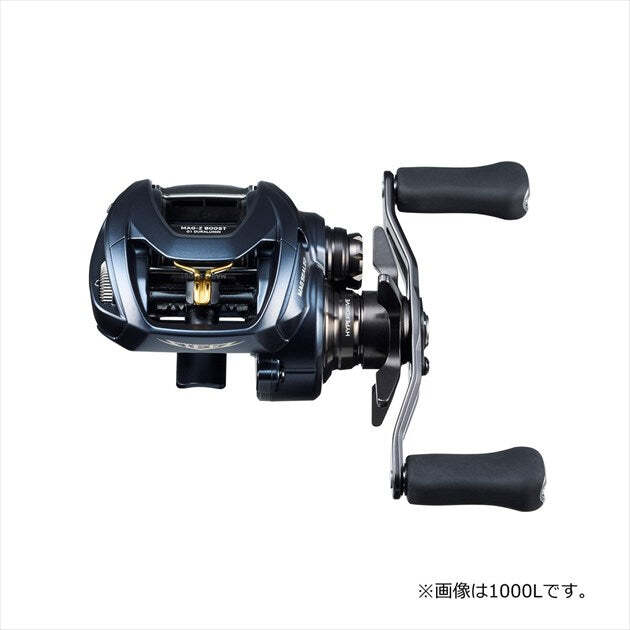 Daiwa 22 Steez A2 TW 1000HL (Left) | eBay