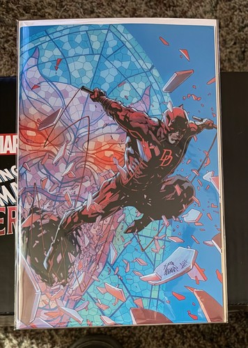 DAREDEVIL #1 2ND PRINT  1:25 RYAN STEGMAN VIRGIN VARIANT N/M