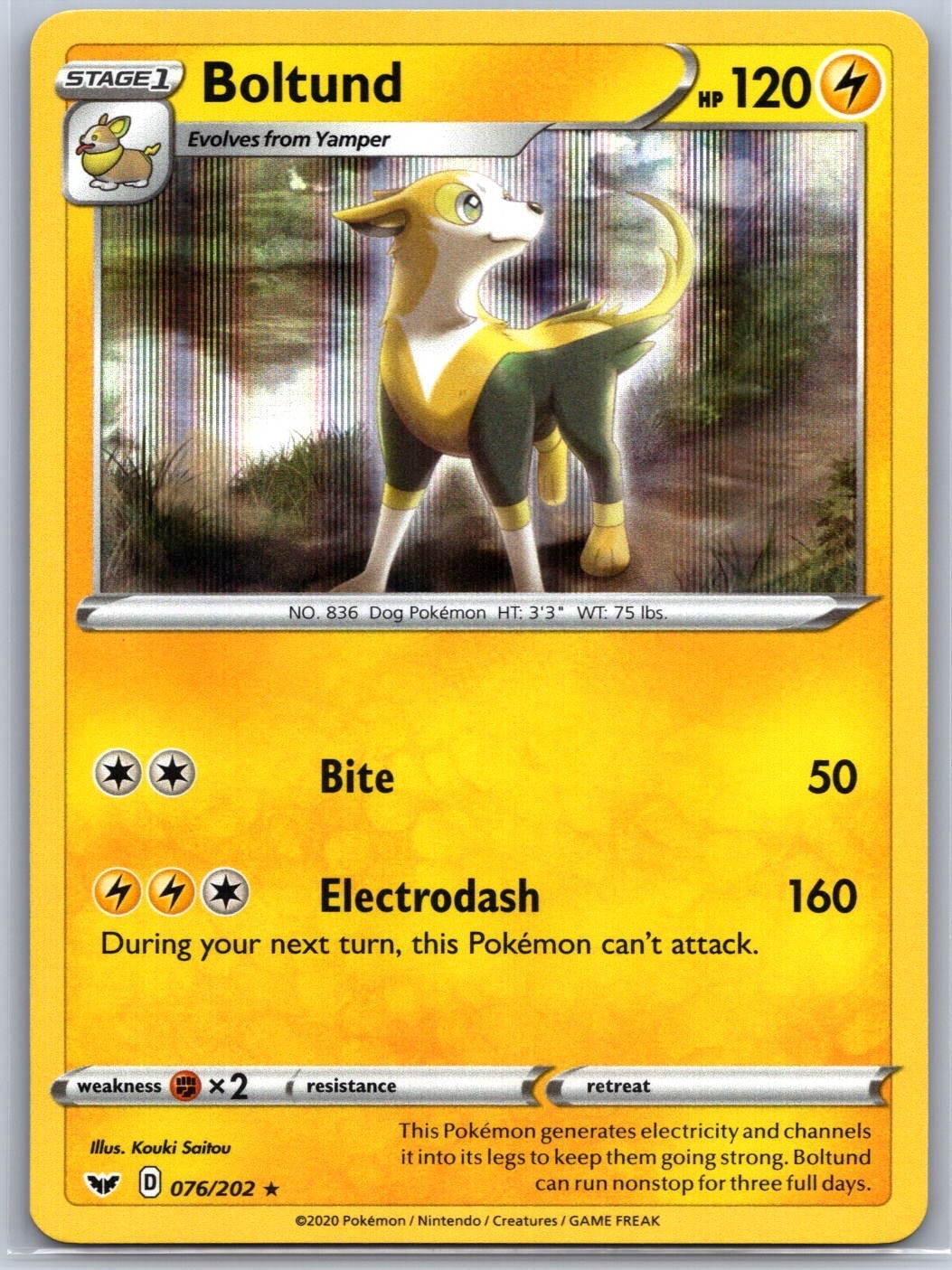 Boltund 076/202 Holo Rare Sword & Shield Pokemon Near Mint