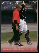 LJ Petra 2013 Richmond Flying Squirrels Team Set Card