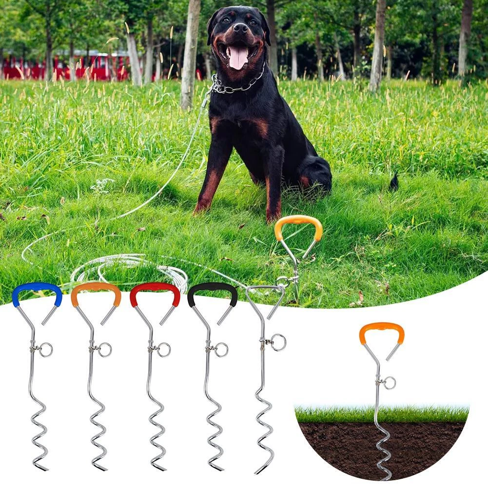 Leash stake hotsell