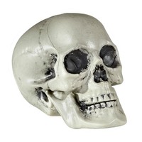 Gruselige Halloween Deko Mit Totenkopf Fake TotenschäDel FüR Unheimliche Partys