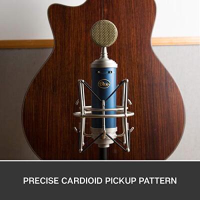 Blue Microphones Bluebird SL Studio Condenser Microphone - Blue