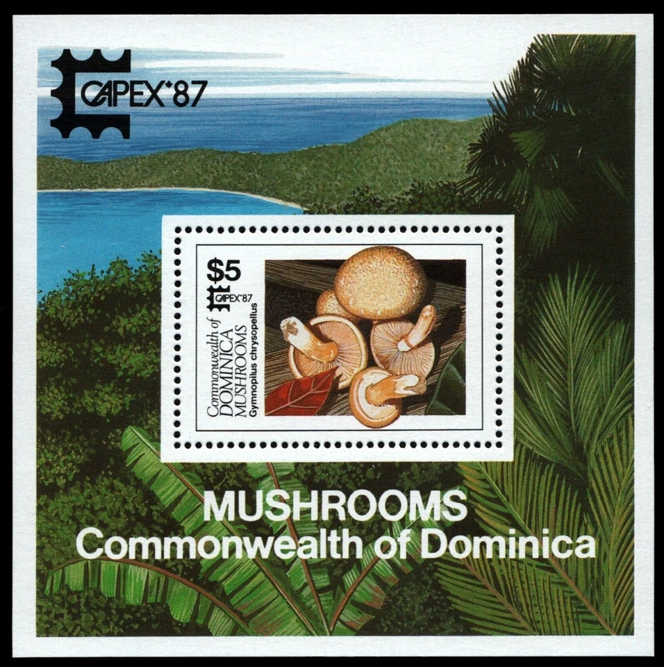 Dominica 1987 - Mi-Nr. Block 120 ** - MNH - Pilze / Mushrooms - Bild 1 von 1