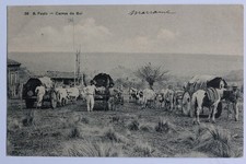 CPA Brazil Sao Paulo Carros de Boi Ox-drawn carts (53693)