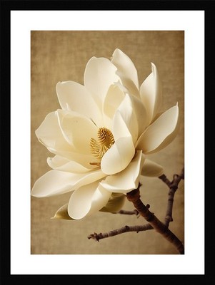 Weiche Magnolie gerahmtes Wandbild Poster Leinwanddruck Bild