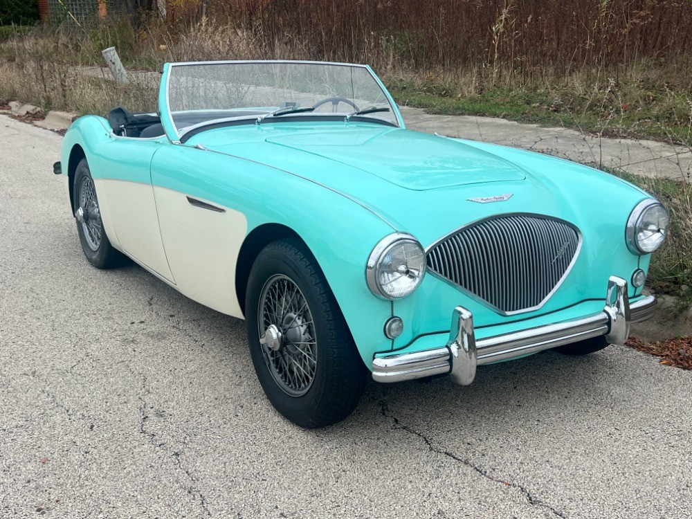 1956 Austin-Healey 100 for sale in Astoria New York