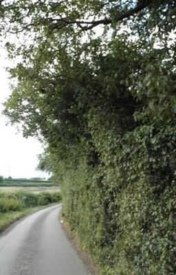 Foto 6x4 Straße Einfahrt Trowley Bottom c2017