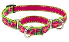 Lupine Small Martingale Dog Collar 3/4 Wide P...