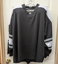 Los Angeles Kings Blank Hockey Jersey - XLarge 15TROL01
