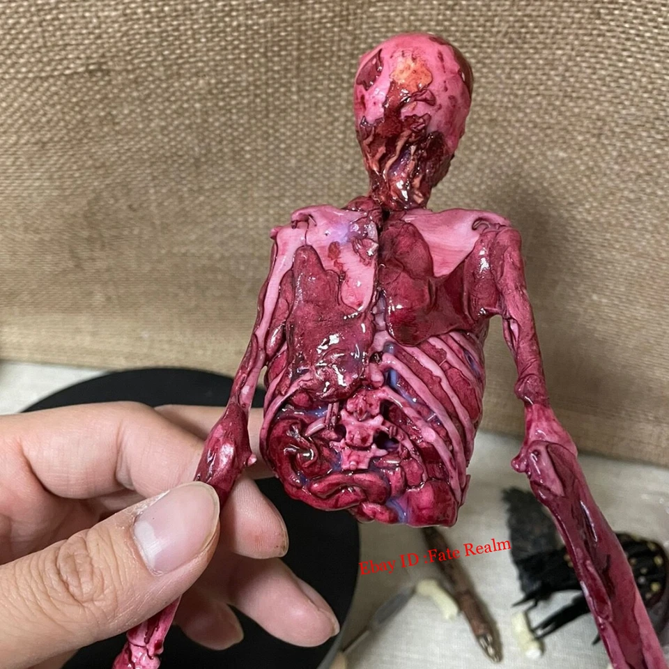 1/12 1/6 Scale Human Skeleton Half-body Flesh Blood Skeleton Model Accessory - Image 4 of 4