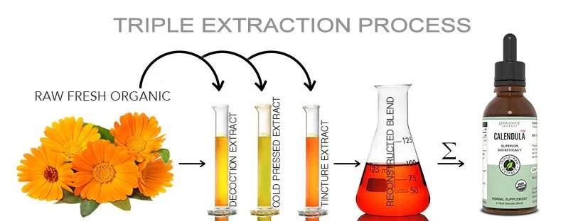 Apoyo Inmunológico: Defensa Viral - Spray n’ Go - Hecho de Hierbas Crudas-Frescas-Orgánicas Foto 4 de 4