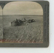 Acres & Acres of Wheat WA Washington Keystone USA Stereoview