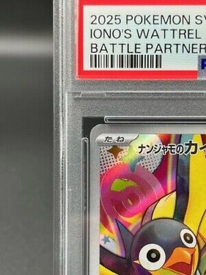 PSA 10 Iono's Wattrel 232/SV-P Battle Partners Promo Pokemon PSA 10 Iono's Wattrel 232/SV-P Battle Partners Promo Pokemon