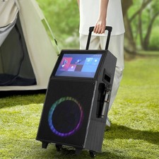 12" Karaoke Machine w/ Wireless Microphones Portable Bluetooth Speaker Machine