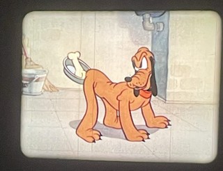 16mm Film Cartoon: Walt Disney Donald And Pluto 1936 Color