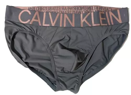 Calvin Klein Underwear Cotton Statement 1981 Low Rise Fly Front Briefs in  White for Men