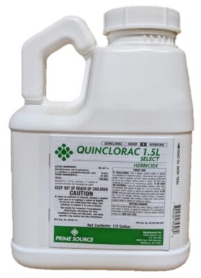 Quinclorac 1.5L Herbicide - .5 Gal, same AI as Quintessential NO SALES: CA