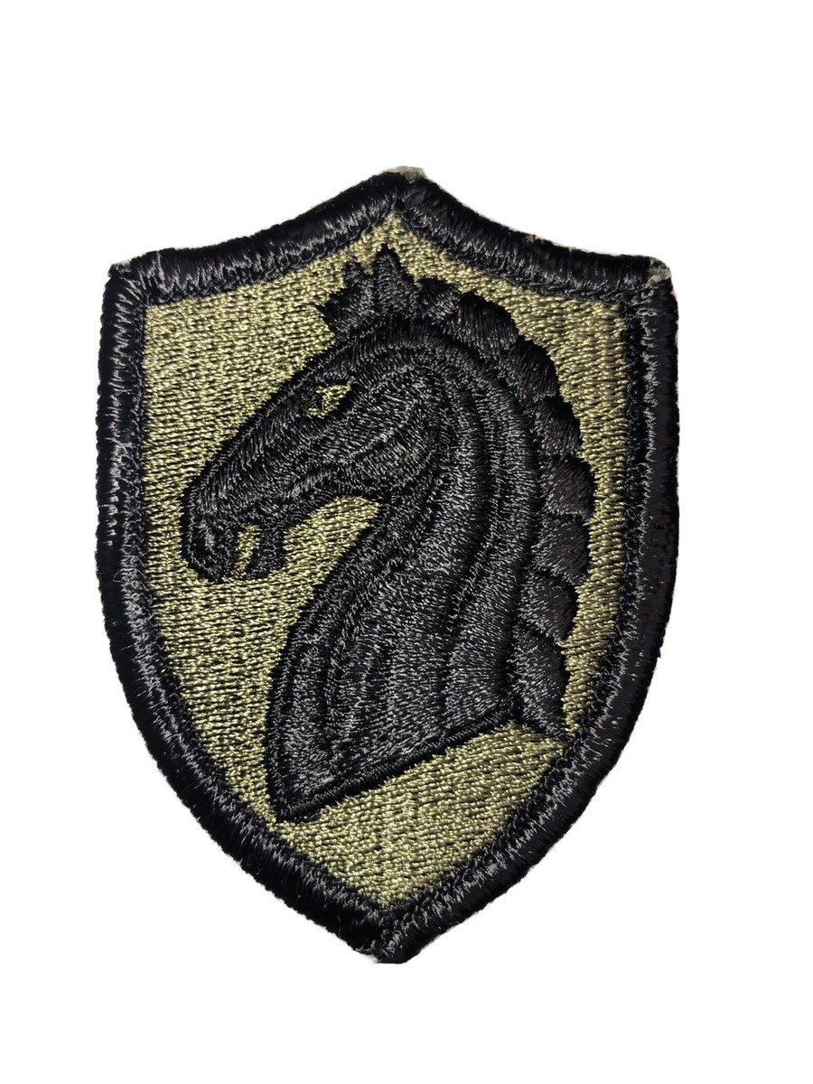 107th Armored Cavalry Regiment Subdued U.S. Army Shoulder