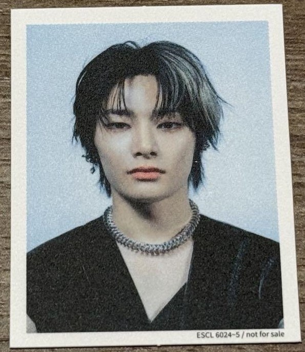 Stray Kids GIANT JAPAN First Limited A ver. ID Photo Official