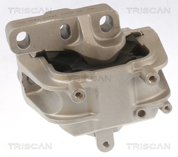 Motorlager Triscan 8505 29145 FüR VW CC B7 358 Passat B6 357 3C2 Variant 3C5 365-image