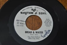 RARE vintage 45 rpm record Mike Finnigan and the Serfs Rhythm & Soul Bread Water