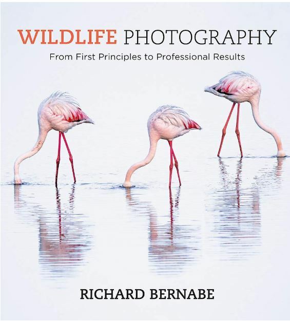 Wildlife Photography, Bernabe, Richard, Very GoodBooks