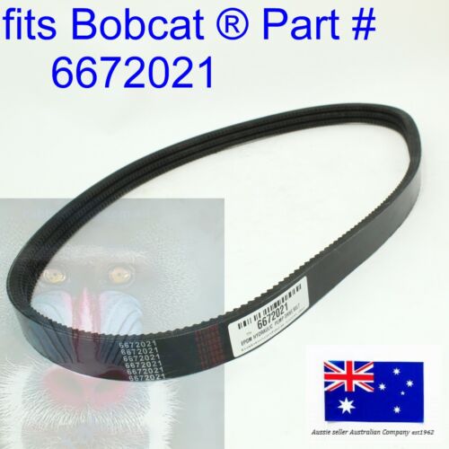 fits Bobcat Main Hydraulic Pump EPDM Drive Belt 6672021 430 435 751 753 763 773 - Picture 2 of 11