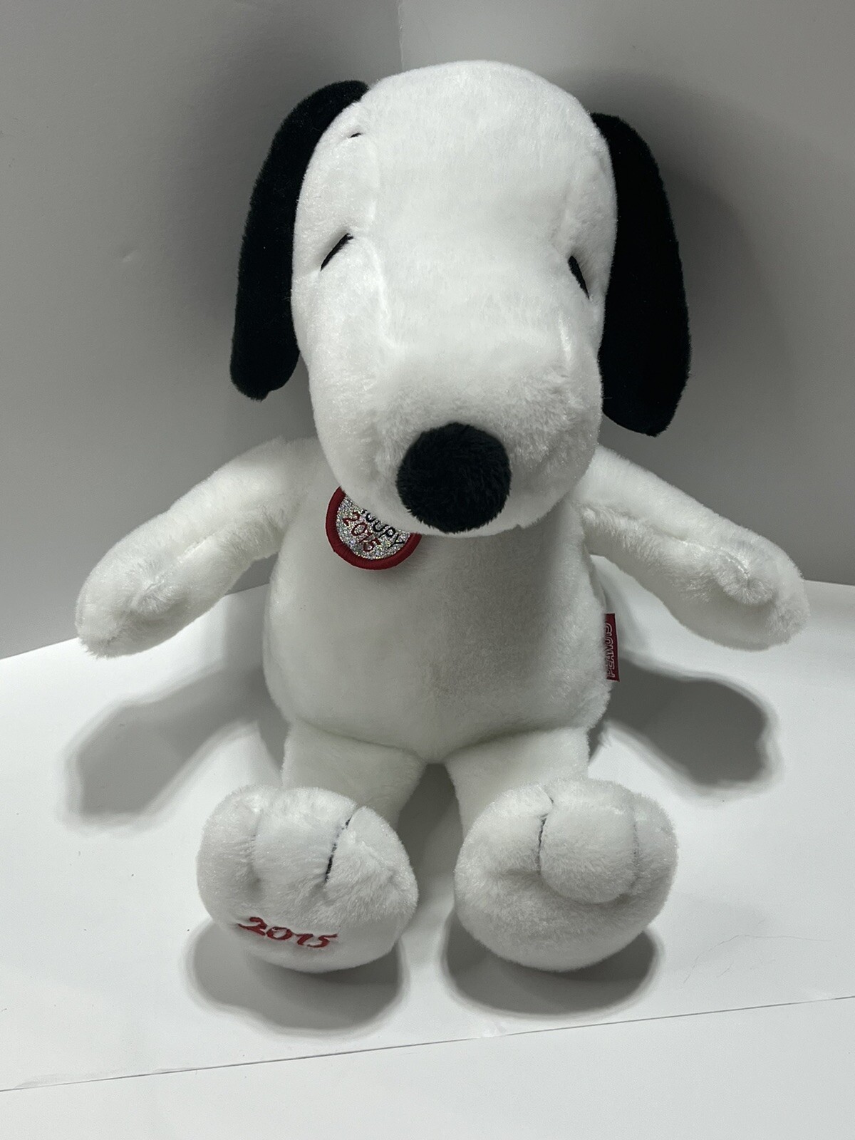 2015 Snoopy 10