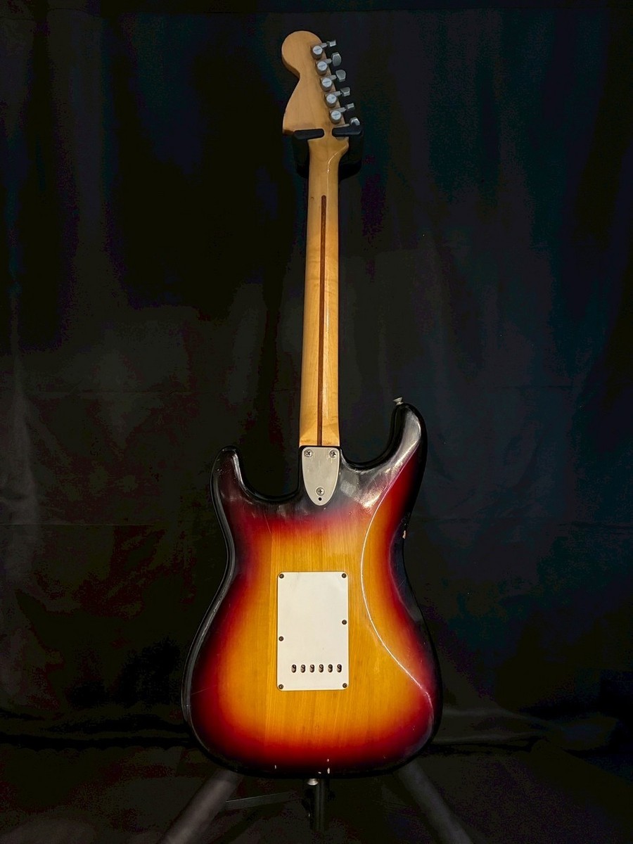 FERNANDES FST-50 Stone Logo | eBay