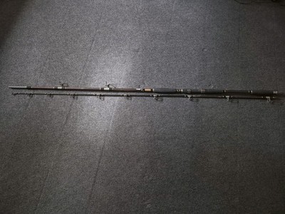 Rute Waller SPRO TRIPLE X Catfish 3,20m 150-300 Wurfgewicht 2-tlg.
