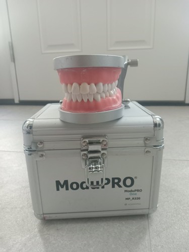 Acadental ModuPRO One Exam Practice Kit Typodont Dental Training Model MP_R320