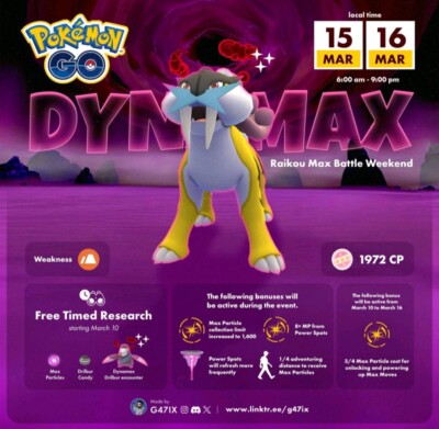  10x Dynamax RAID Service Pokemon Go 