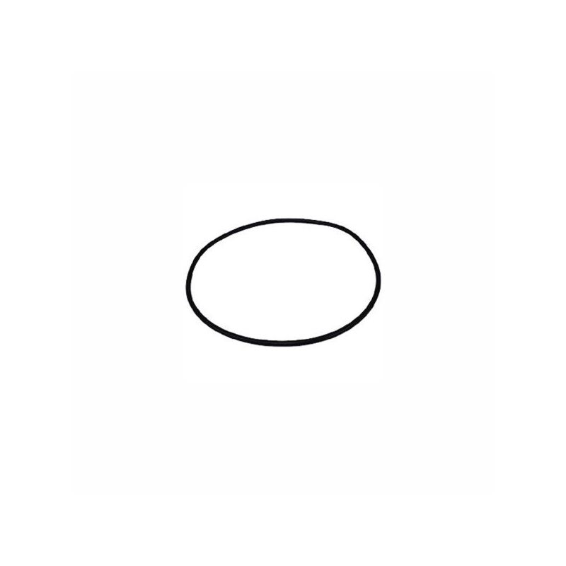Lagostina Gasket Original Pot Pressure Pratica Amzing Gaia 220mm 22cm