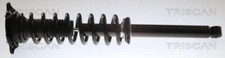TRISCAN Triscan Stoßdämpfer für Tesla 8705 81202