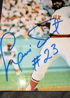 Luis Tiant #23 Boston Red Sox autographed 4x6 Kodak picture  — photo 2