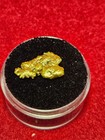 California Natural Gold Nugget  2.7  Grams in a Gem jar w/lid — photo 2