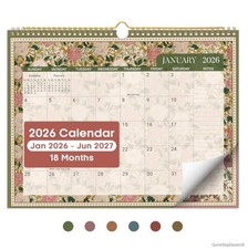 Wall Calendar 2026 2027 18 Month 14.7 x 11.5 Spiral Binding Hanging Monthly