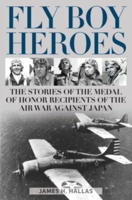 Fly Boy Heroes: The Stories of the Medal of Honor Recipients of the Air War BOOK