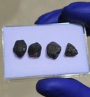 El Menia Meteorite 3.639g | 4 Mini Individuals | 2023 Witnessed Fall | COA — photo 1