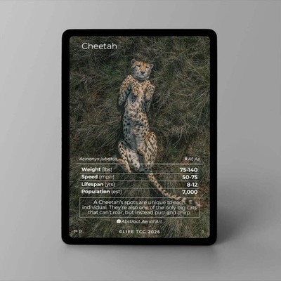 Mammals Photography Choose Your Card!   Photo #1-#3 | LIFE TCG | 1st Edition